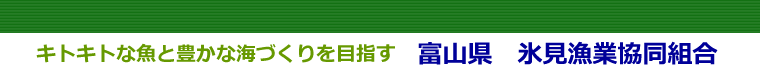 キトキトな魚と豊かな海づくりを目指す 富山県 氷見漁業協同組合