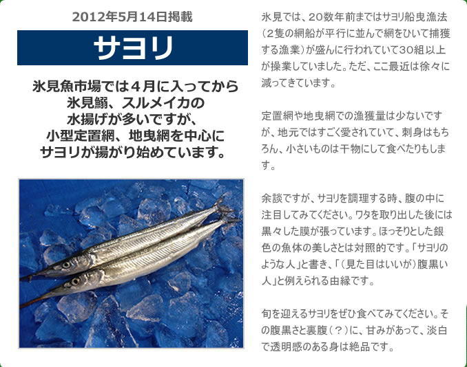 2012年5月 サヨリ　氷見魚市場では、４月に入ってから氷見鰯、スルメイカの水揚げが多いですが、小型定置網、地曳網を中心にサヨリが揚がり始めています。氷見では、２０数年前まではサヨリ船曳漁法（２隻の網船が平行に並んで網をひいて捕獲する漁業）が盛んに行われていて３０組以上が操業していました。ただ、ここ最近は徐々に減ってきています。定置網や地曳網での漁獲量は少ないですが、地元ではすごく愛されていて、刺身はもちろん、小さいものは干物にして食べたりもします。余談ですが、サヨリを調理する時、腹の中に注目してみてください。ワタを取り出した後には黒々した膜が張っています。ほっそりとした銀色の魚体の美しさとは対照的です。「サヨリのような人」と書き、「（見た目はいいが）腹黒い人」と例えられる由縁です。旬を迎えるサヨリをぜひ食べてみてください。その腹黒さと裏腹（？）に、甘みがあって、淡白で透明感のある身は絶品です。