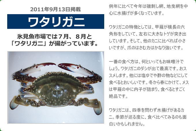 2011年9月 ワタリガニ　氷見魚市場では７月、８月と「ワタリガニ」が揚がっています。例年に比べて今年は磯刺し網、地曳網を中心に水揚げが多くなっています。ワタリガニの特徴としては、甲羅が横長の六角形をしていて、左右に大きなトゲが突き出しています。そして、他のカニに比べれば小さいですが、爪のはさむ力はかなり強いです。一番の食べ方は、何といってもお味噌汁でしょう。ワタリガニのダシが出て最高です。おススメします。他には塩ゆでや酢の物などにして食べるとおいしいです。冬から春にかけて、メスは甲羅の中に内子が詰まり、食べるとすごく絶品です。ワタリガニは、四季を問わず水揚げがあるカニ。季節が巡る度に、食べ比べてみるのも面白いかもしれません。